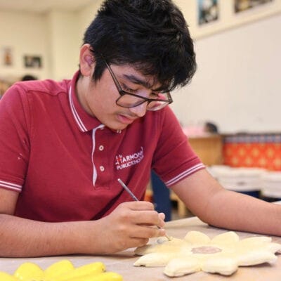 Harmony-Web-2-400×400