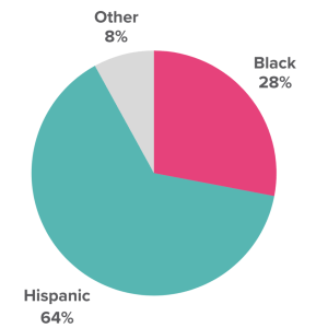 Nitsch-Demo-1024×1024
