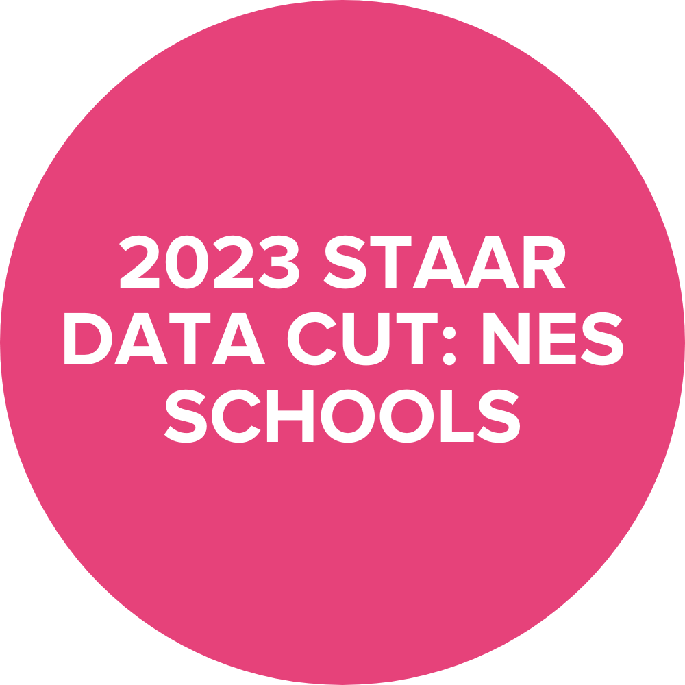2023 STAAR Data Cut: NES Schools